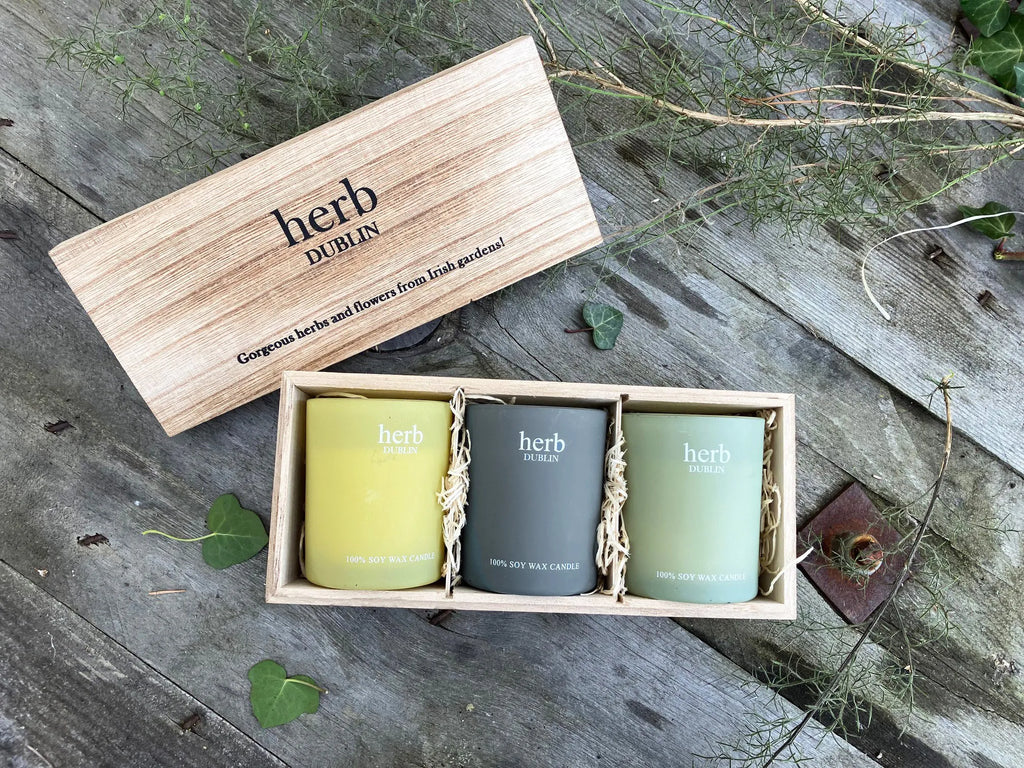 Herb Dublin Trio candle votives – Buttercup, Lemongrass & Peppermint