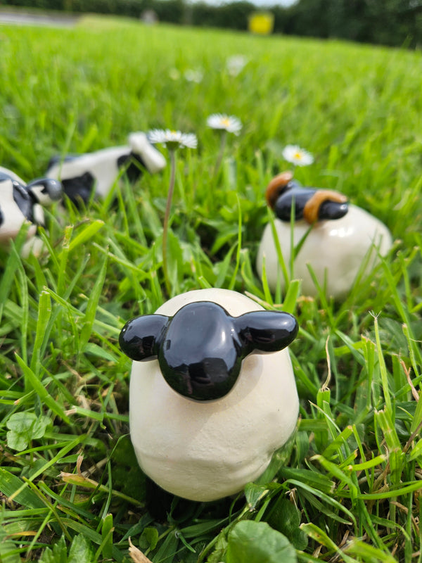 Mount Ida Pottery Gallery. Sheep Sculptures