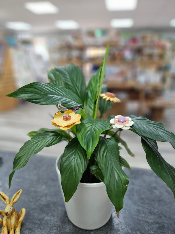 Ceramic Flowers