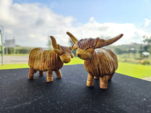 Mount Ida Pottery Gallery. Highland Cows