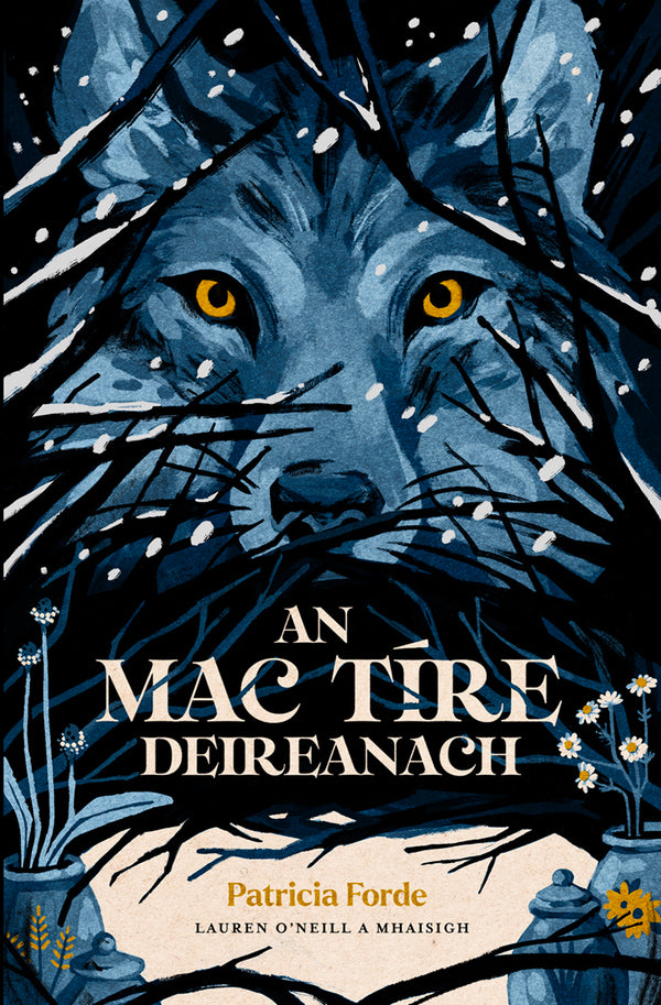 An Mac Tíre Deireanach by Patricia forde