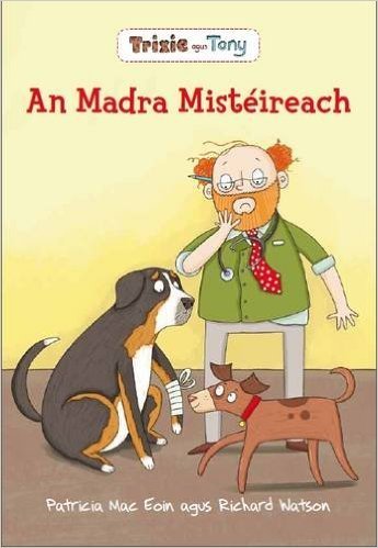 An Madra Mistéireach le Patricia Mac Eoin