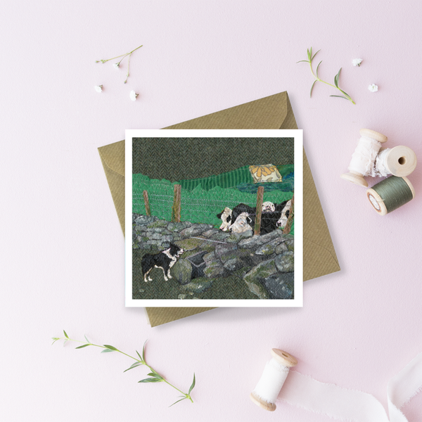 How'ya Ladies Greetings Card