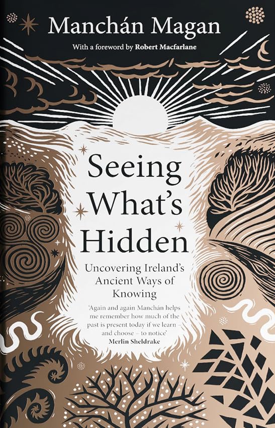 Seeing what's Hidden by Manchán Magan