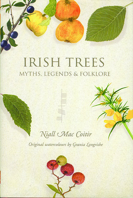 Ireland's Trees – Myths, Legends & Folklore