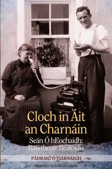 Cloch in Áit an Charnáin