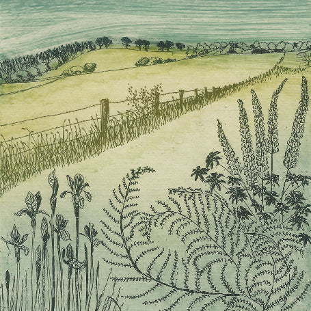 Art Cards Ireland. Niamh Mac Gowan 'Kilmacurragh Vista'