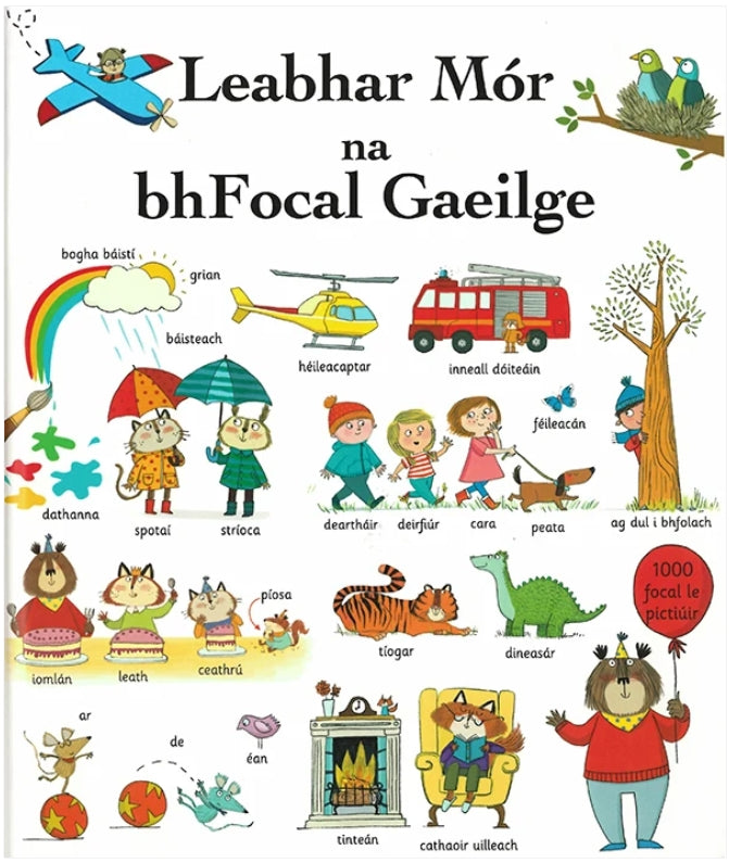 Leabhar Mór na bhFocal Gaeilge