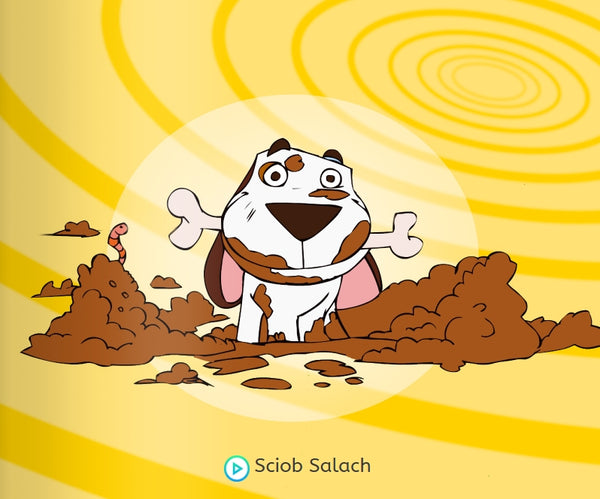 Sciob Salach le Seán Ó Duibhir