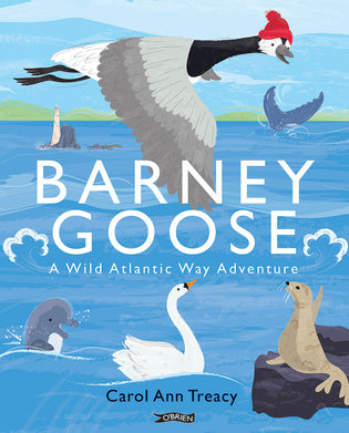 Barney Goose A Wild Atlantic Way Adventure By and Illustrated by Carol Ann Treacy