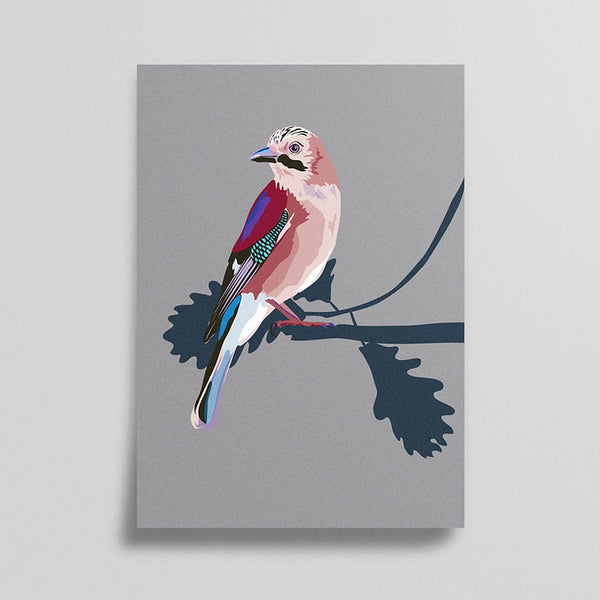 Pawpear Scréachóg Choille/Jay A3 Print