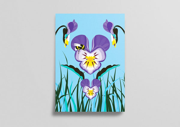 Pawpear Goirmín Searraigh/Wild Pansy A4 Print