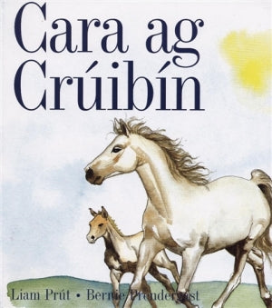 Cara ag Crúibín