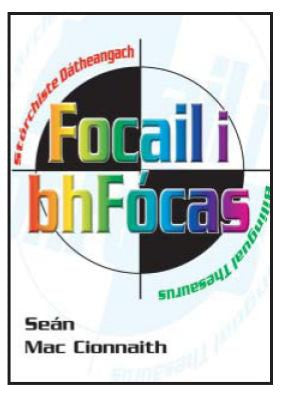 Focail i Bhfocas