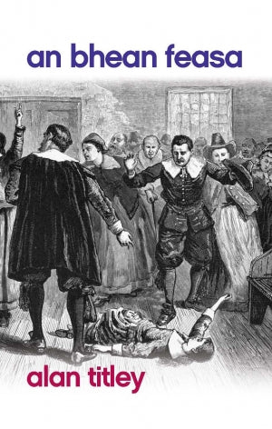 An Bhean Feasa by Alan Titley