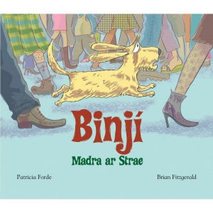 Binji Madra Ar Strae