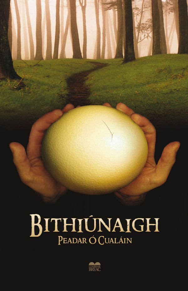 Bithiúnaigh by Peadar Ó Cualáin
