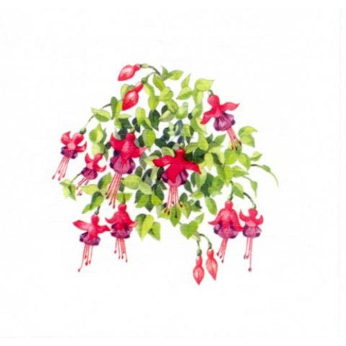 The Glen Gallery Fuchsia Note Pack