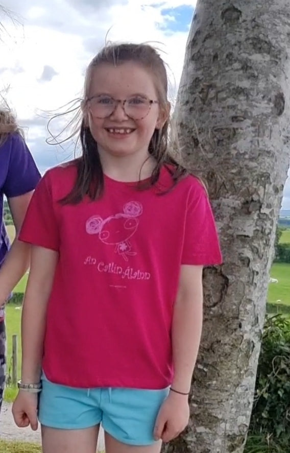 An Spailpín Fánach An Cailín Álainn Pink