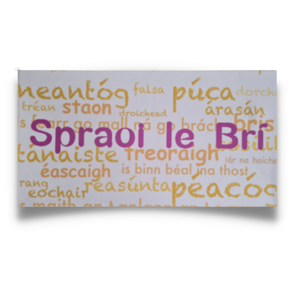 Spraoi le Brí Card Game